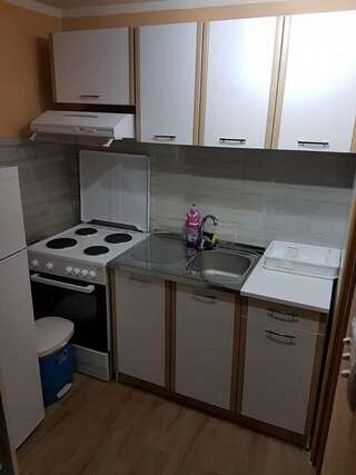 Апартаменты Apartman Lena Цетине Апартаменты с 1 спальней-13